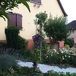 Le Chouette Selestat