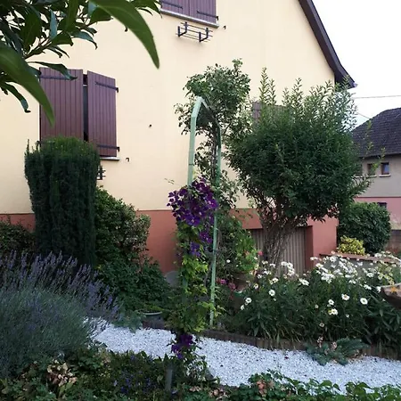 Le Chouette Sélestat