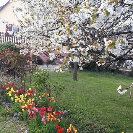 Casa vacanze Le Chouette Sélestat